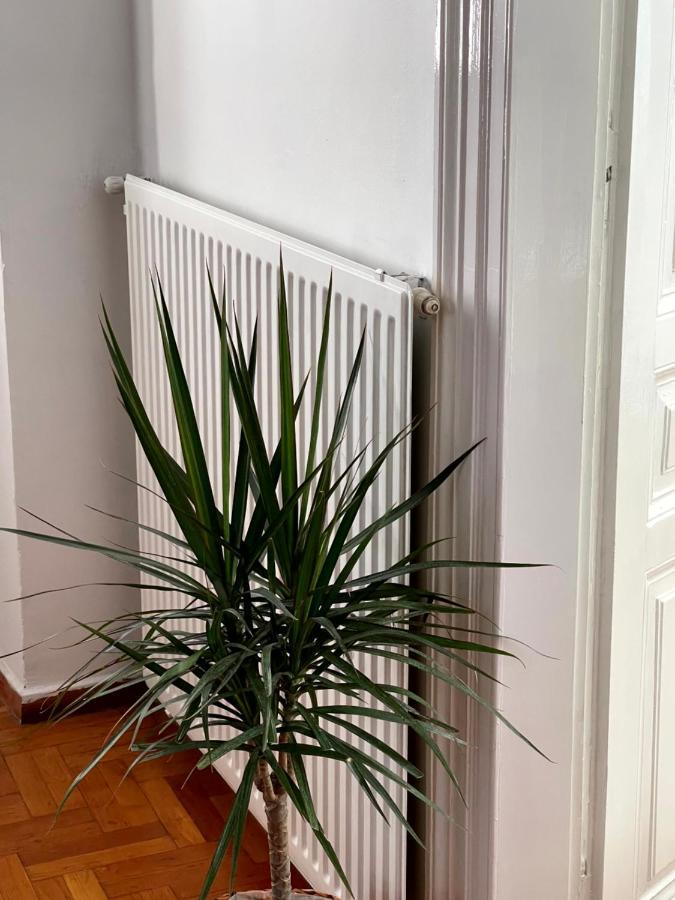 Η Ελπίδα Και Η Γιάννα Ξεκίνησαν Ένα Χώρο Cute Appartement Volos Buitenkant foto
