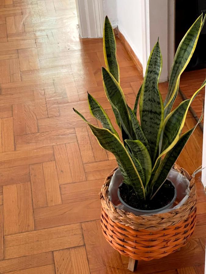 Η Ελπίδα Και Η Γιάννα Ξεκίνησαν Ένα Χώρο Cute Appartement Volos Buitenkant foto