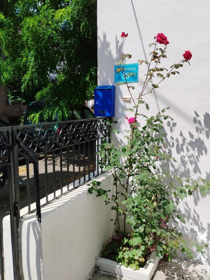 Η Ελπίδα Και Η Γιάννα Ξεκίνησαν Ένα Χώρο Cute Appartement Volos Buitenkant foto